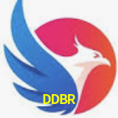 Ofertas Imperdíveis na DDBR: Promoções e Bônus Que Valem a Pena